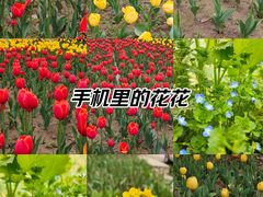 -汉梁文化公园