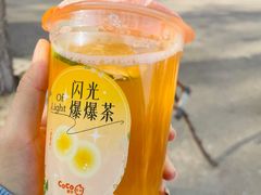 -CoCo都可(铁西万达店)