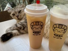 -猫咪派对(江南西店)