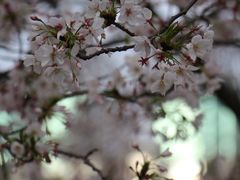 -西北湖绿化广场