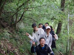 -素山寺森林公园