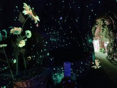 -芜湖方特东方神画