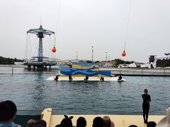 -秦皇岛乐岛海洋王国