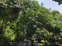 -莲湖公园