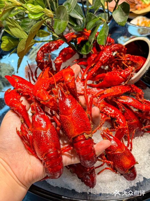 浙食逅·弄虾·融合菜·小龙虾(双城国际店)图片