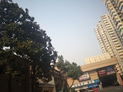 -星光城