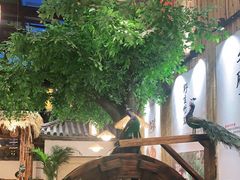 -大理董·董家小厨野生菌火锅(古城旗舰店)