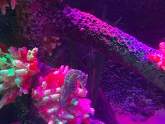 -沈阳海洋探索中心