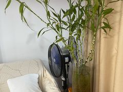-佰推·肩颈腰·推拿理疗(湾悦城店)