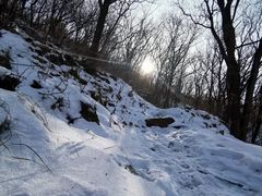 -阳台山自然风景区