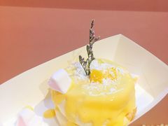 -狐狸和向日葵(北京路店)
