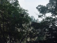 -嵩山少林文化旅游景区