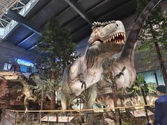 -湖南省地质博物馆