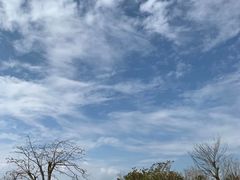 -海南铜鼓岭景区