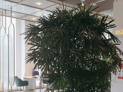 -ins森林童话餐厅coffee&bistro
