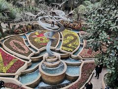 -南山植物园