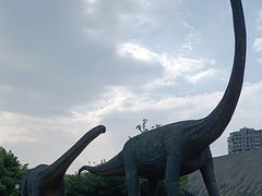 -安徽省地质博物馆