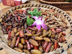 -老滇山寨•云南特色菜•地方菜•民族风情歌舞表演(金碧店)