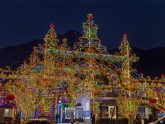 -北京龙庆四季香农家饭庄·灶台鱼·碳烤虹鳟鱼(龙庆峡店)