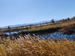 -野鸭湖国家湿地公园