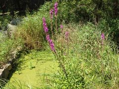 iphone_upload_pic-灵溪风景区