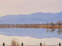 -野鸭湖国家湿地公园