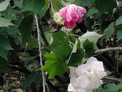 -贵阳市花溪国家城市湿地公园