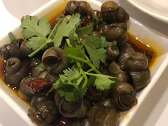 -同庆楼(滨湖万达广场店)