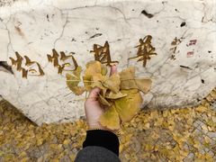 -辽宁大学(崇山校区)