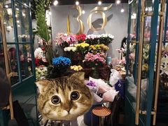 -BOBLOOM花店(宝龙旭辉广场店)