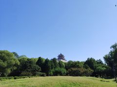 -莲花池公园