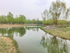 -东郊湿地公园