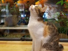 -猫的天空之城概念书店(景德镇陶溪川店)