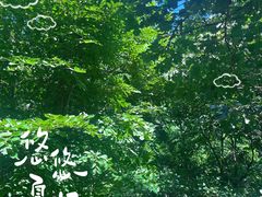-大岭沟猕猴桃谷风景区