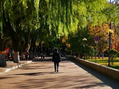 -黑龙江大学