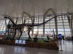 -银川河东国际机场