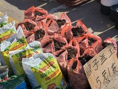 -中环花鸟鱼虫市场