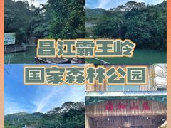 -海南霸王岭国家森林公园