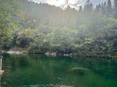 -石台牯牛降景区