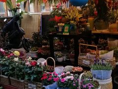 -川沙古镇-停车场