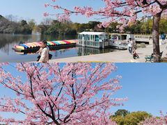 -新江湾城公园