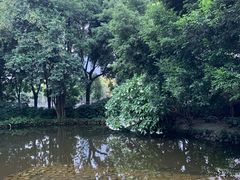 -成都市活水公园