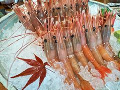 -月龍吟(朝龙汇店)