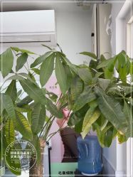 -LJOY丽锦造型·烫发染发