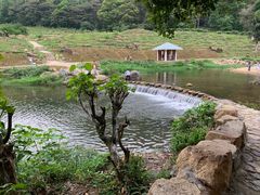 -广州市石门国家森林公园