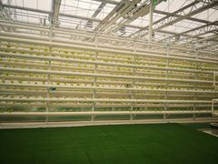 -兰陵国家农业公园