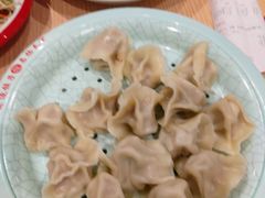 猪肉酸菜饺-老边饺子馆(东单店)