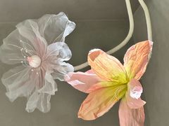 -花菇朵 ll 野生菌锅·精品滇菜(后沙峪店)