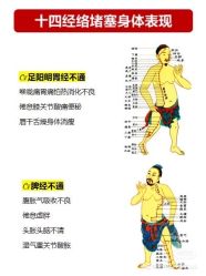 -香薇妮丝女子减肥院