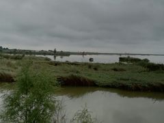 -哈素海